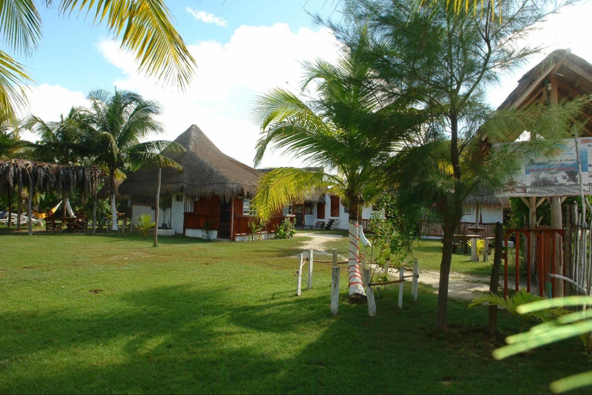Golden Paradise Hostel Isla Holbox Kültér fotó